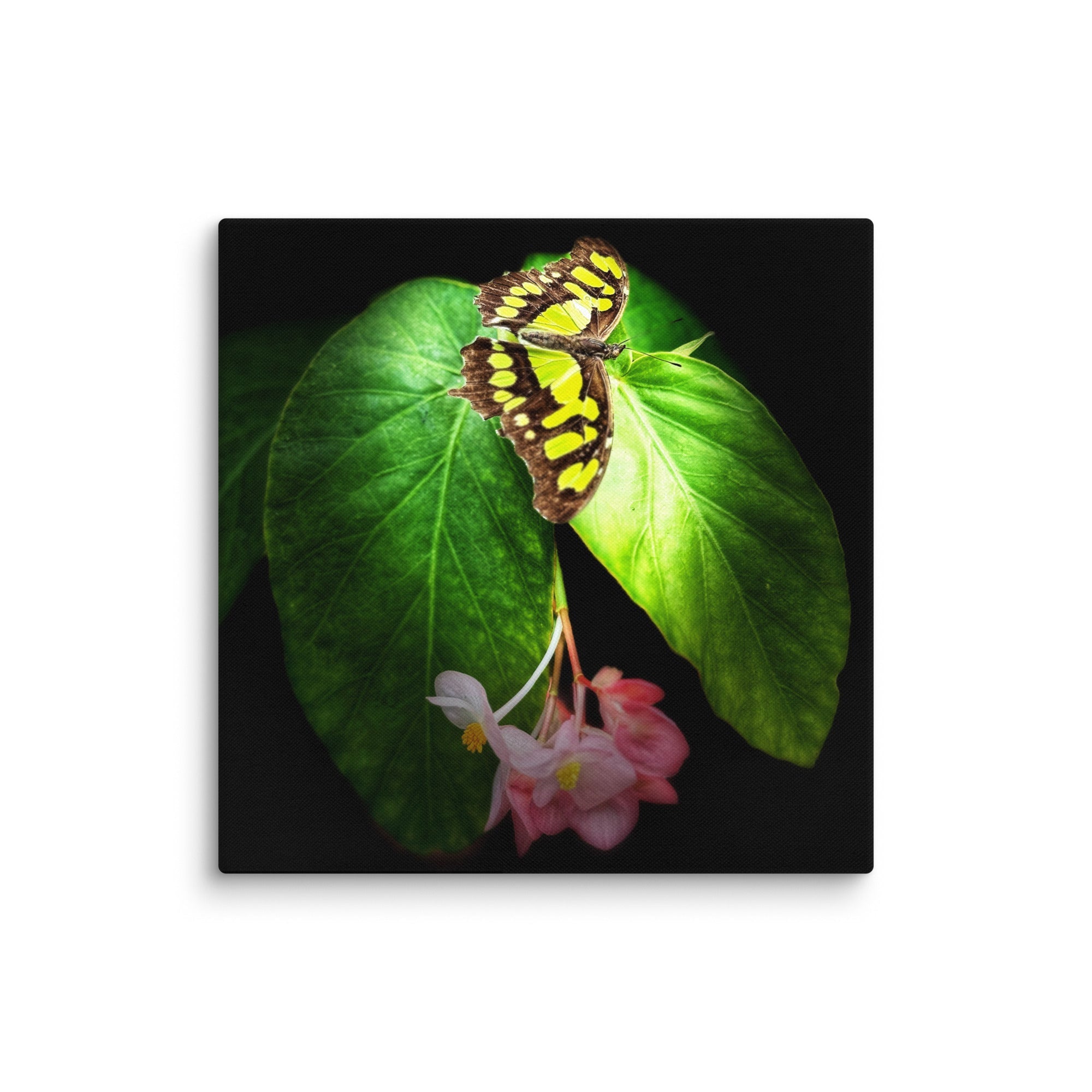 Conscious Wall Art & Photography Prints | Fck’s Given Full Heart Co. – Soulful Canvas for Heart-Led Spaces