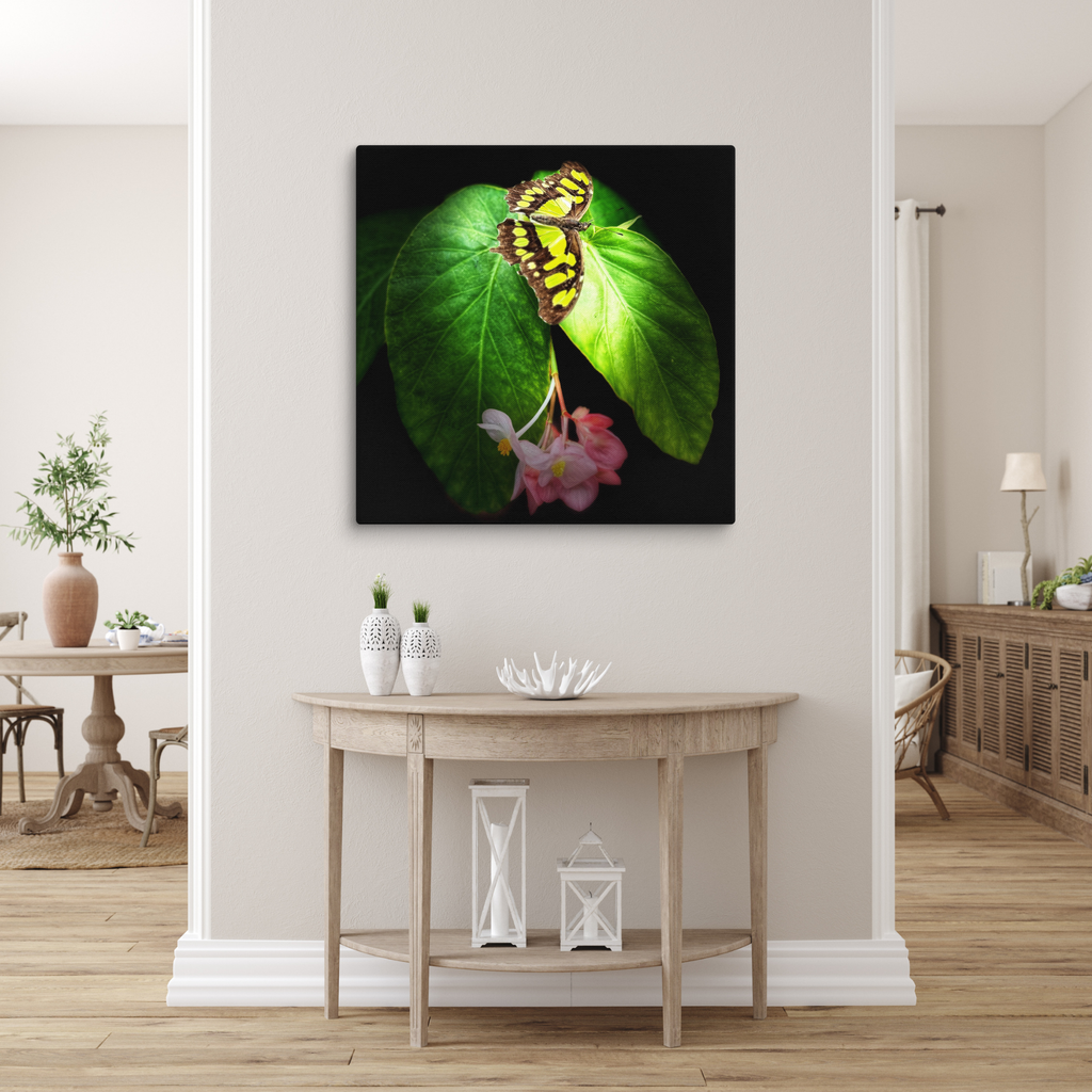 Butterfly Botanical Canvas Wall Art – Nature Photography Print – Green Leaf Insect Wall Décor – Square Canvas Artwork for Home or Studio